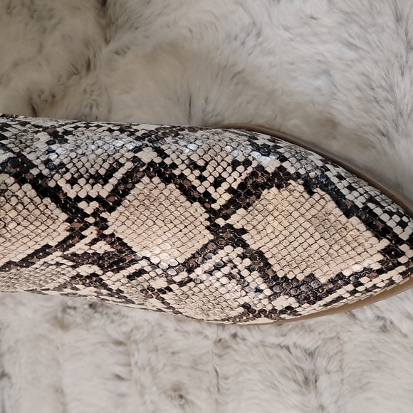 Snakeprint Booties - Picture 9 of 12